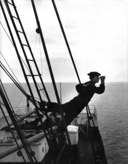 lottereinigerforever:  Buster Keaton in “The Navigator” 