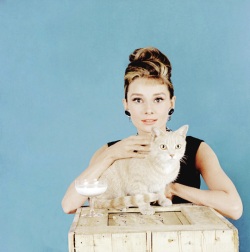 vintagegal:  Audrey Hepburn photographed