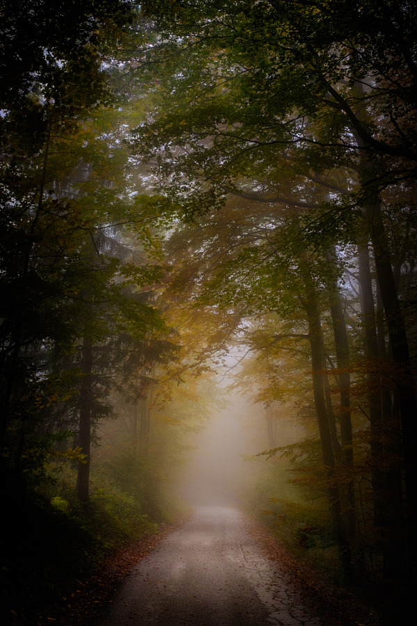 radivs:  Road to Heaven by Milos Hudarin 