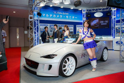 Datasystem -Tokyo Motor Show 2015 (Ariake,