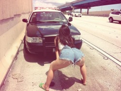 Gray-Firearms:  Woop Whoop Pull Over That Ass Is To Fat