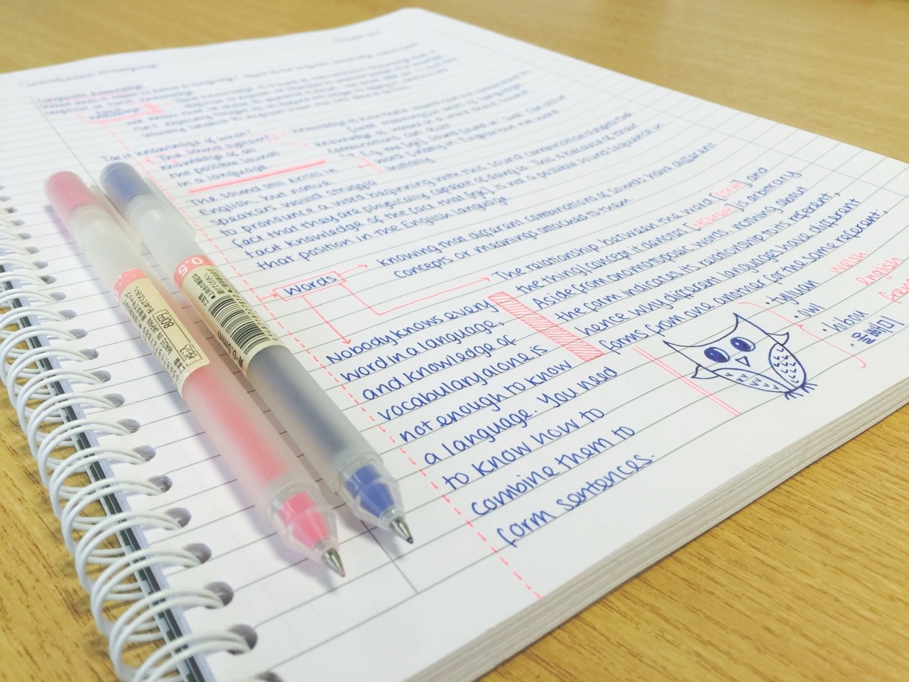 study-read-study:  17-07-2015 // This is what I’ve been doing with my morning so