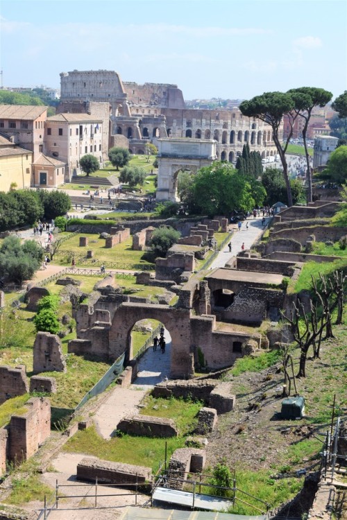 travel-lusting: Ruins of the ancient Roman Forum, Rome, Italy (by travel-lusting)