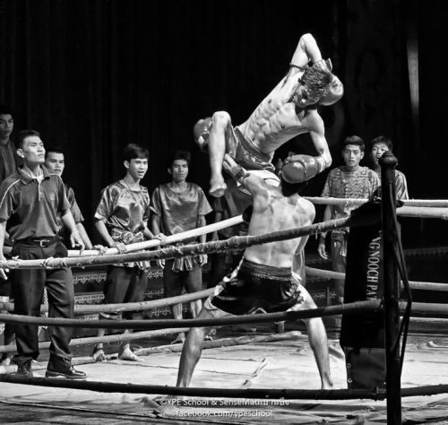 the-history-of-fighting: Muay Thai
