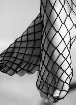 ...caught in my Net