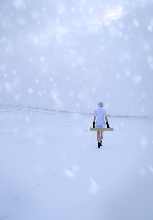 Antarcticite - they take care of winter.Photography: @shadowsnstuff 