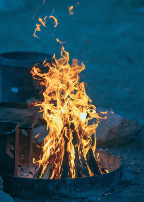 justinslens:evening campfire vibesinstagram 