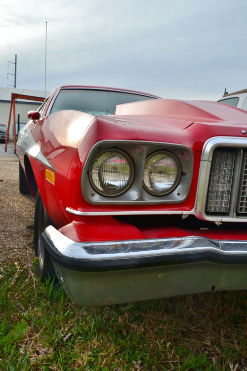 Sex american-life-style:  Ford Gran Torino ( pictures