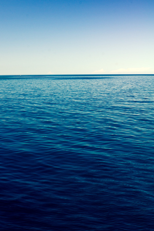nichvlas:  Superior (by appareil) 