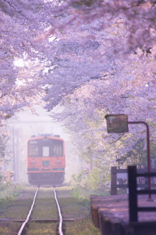 japanese scenery