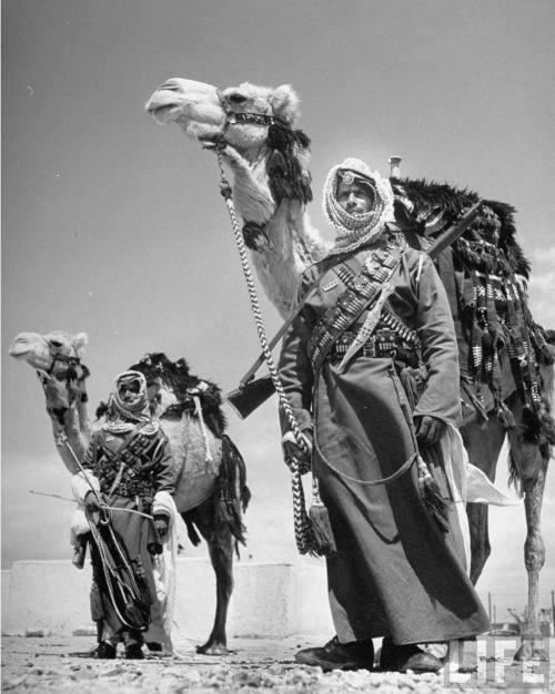 gunrunnerhell:Desert WarriorsArab soldiers standing guard with their camels. April 1948. (Photo: Joh