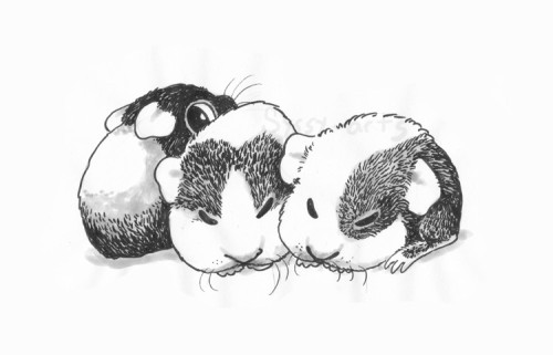 Guinea pig pups for inktober <3For the theme “frail”