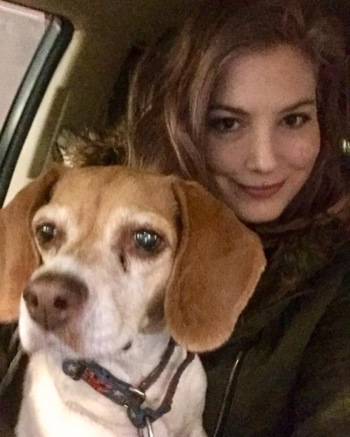 One of my clients always brings me this cute fur ball to love. #dateswithdogs