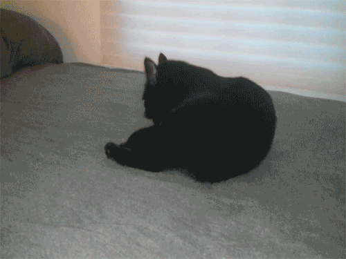 manslastrefuge:  reincarnation is real, Bruce Lee is ALIVE! :P