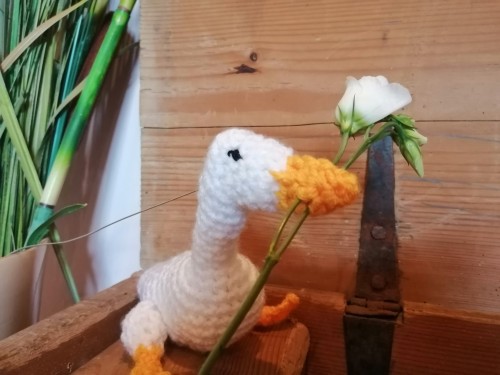 A Peace Offering