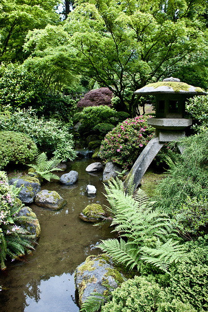 de-preciated:   Stream by kevygee on Flickr.       