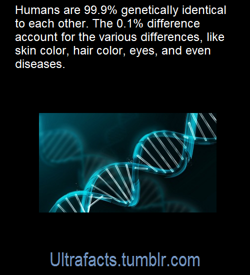 ultrafacts:  Source: [x]Click HERE for more facts!