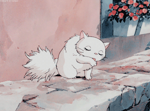 sempsstuffandthangs: frailuta: Studio Ghibli + Cats Tag yourself. I’m def the one on the back 