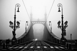 infected:    Liberty Bridge, Budapest