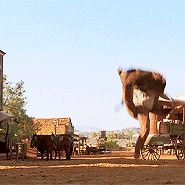 backtothefuturemovies:  Marty falls a lot. A lot. 
