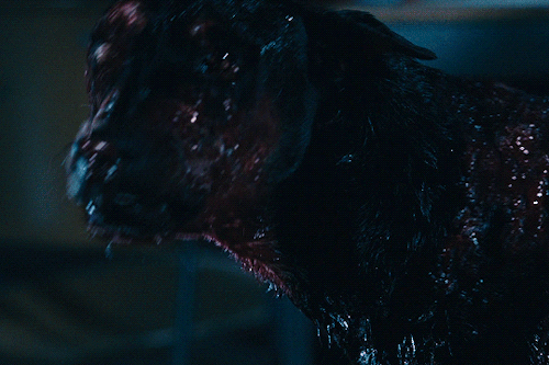 kiewiibree: thequantumranger: Resident Evil: Apocalypse (2004)  Nemesis is my GUY