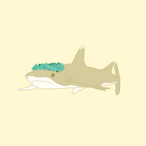 kippydraw:  HAPPY SHARK WEEK!! enjoy some pastel sharks✨  You can also find these designs on my Redbubble! 