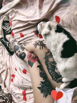 roseyjones:  sundays are for being lazy with ozzy 🌹😻