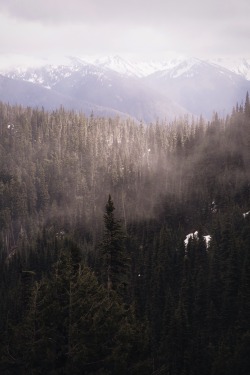 theghostgirls:  Above the clouds 