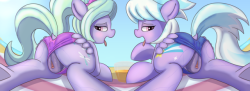 atmosseven: Two sexy summery pegasi! The combined artwork! (I know people might do this themselves but thought I would post it up incase not) Both of them. My cho.. I mean another great choice~ Higer Res Image: https://derpibooru.org/1520478 Like my work?