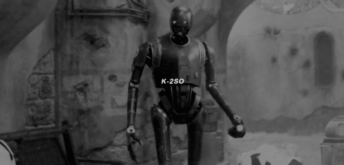 kyloren:Saw Gerrera used to say one fighter with a sharp stick and nothing left to lose can take the