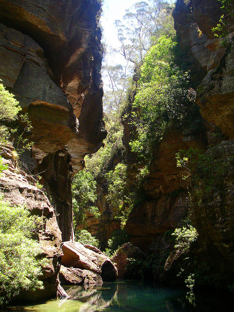 Wollangambe Canyon in Blue Mountains National Park, Australia (by Albert Chetcuti).