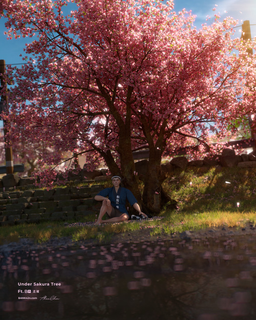  Under Sakura Tree“I remember that time, the most beautiful moment in my life. I sat under the Sakur