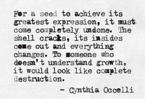 lovequotesrus:  Everything you love is here