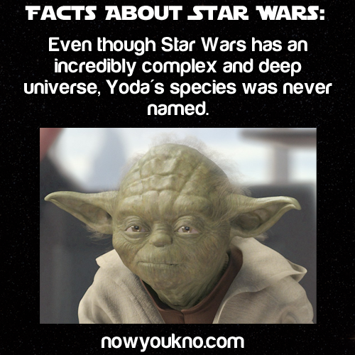 Porn photo nowyoukno:  nowyoukno more about Star Wars