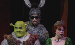 sonicherosfan:  this screencap is literally all you need to know about Shrek the Musical