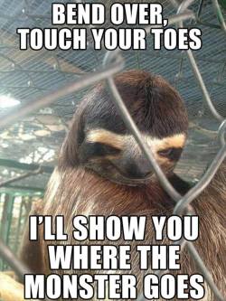 wannajoke:  Creepy sloth http://wanna-joke.com/creepy-sloth/