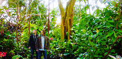gadree-deactivated20140530:  Make Me Choose: Heaven vs. Purgatory (asked by seaofplaid)