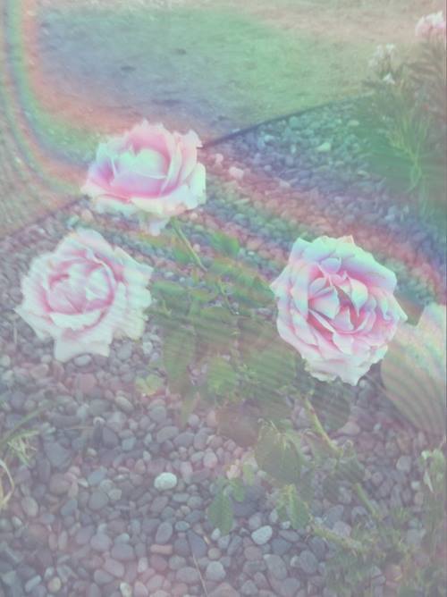 shopdruzy:  pastel background ref, none are mine      hand embroidered t-shirts and