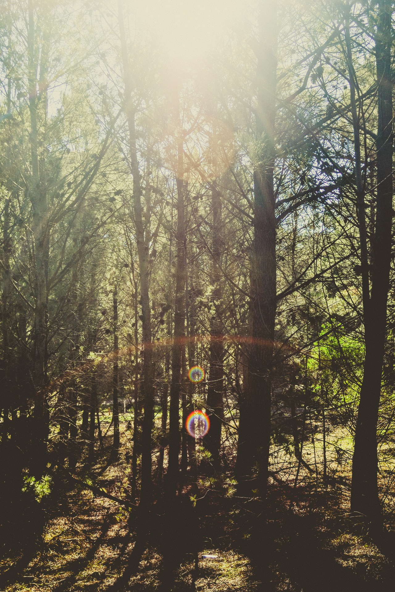 matialonsorphoto:  VD by matialonsor
