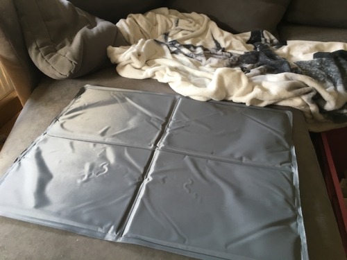 shenannygans:The cooling mat I bought for my sons to help them cope with the heat gets completely ig