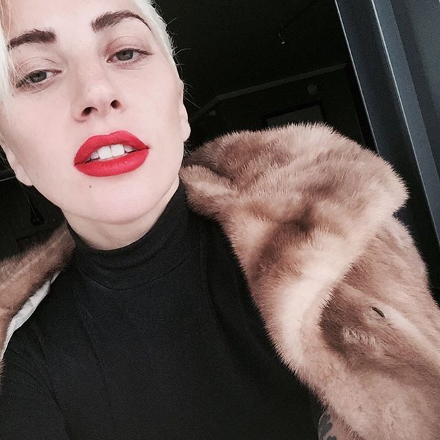 ladyxgaga:  @ladygaga: A desperate poet looking for the perfect piece of paper.