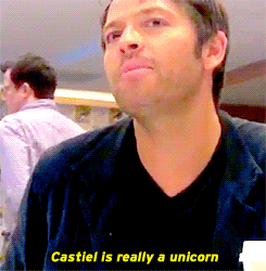 mishadmitrikrushniccollins:  … and everybody thought Misha was crazy when he said