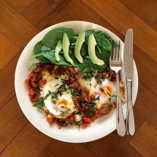 Shakshuka (eggs cooked in spicy tomatoes, onion + mushrooms) with baby spinach + avocado