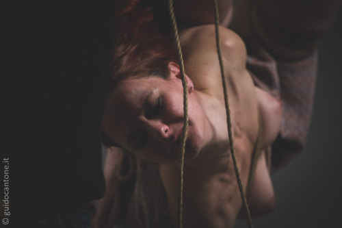 kirigamikinbaku:  http://www.abbraccidicorde.com/brainstorm-studio/Kirigami adult photos