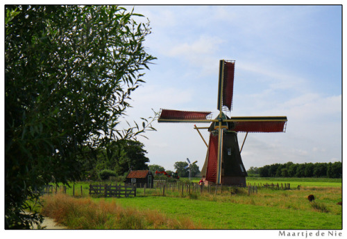 Fun Fact: the sails on a windmill turn anti clockwise