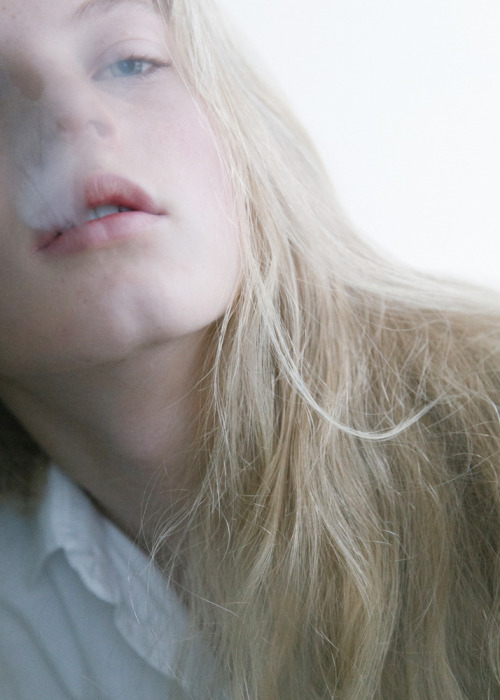 bienenkiste:  Ph. Shii