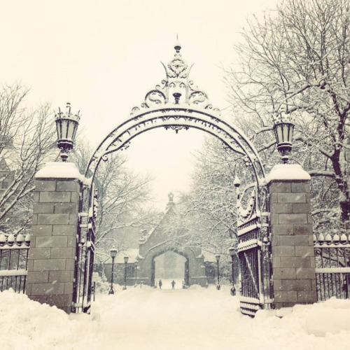 Porn uchicagoadmissions:  Today is a winter wonderland photos