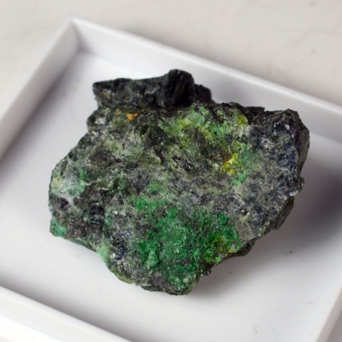 Nickelbischofite &amp; Zaratite - Heazlewood Mine, Heazlewood District, Tasmania, Australia