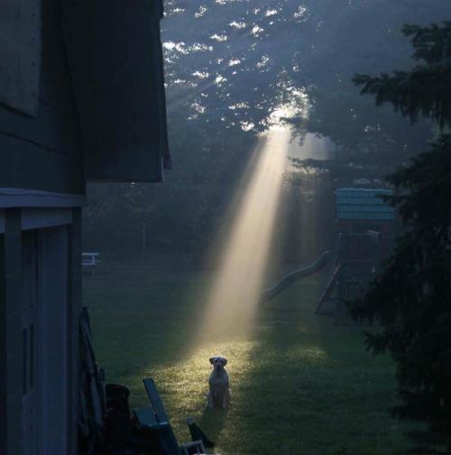 fake-album-covers:  I see potential in this one.