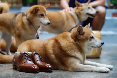 Zonkey Boot hand welted split toe derby shoes on the Classic last, made from Russian Calf and lined 